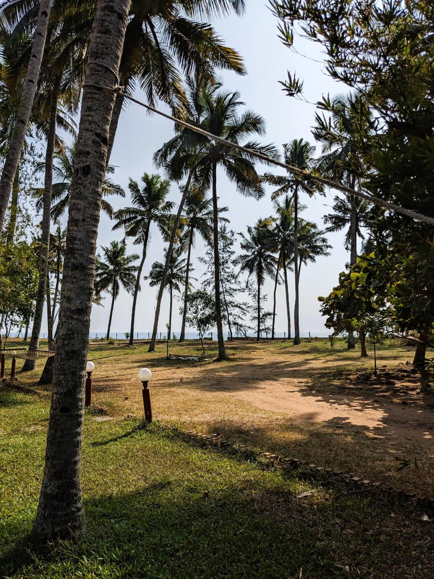 Baycliff Cottages Varkala Dış mekan fotoğraf