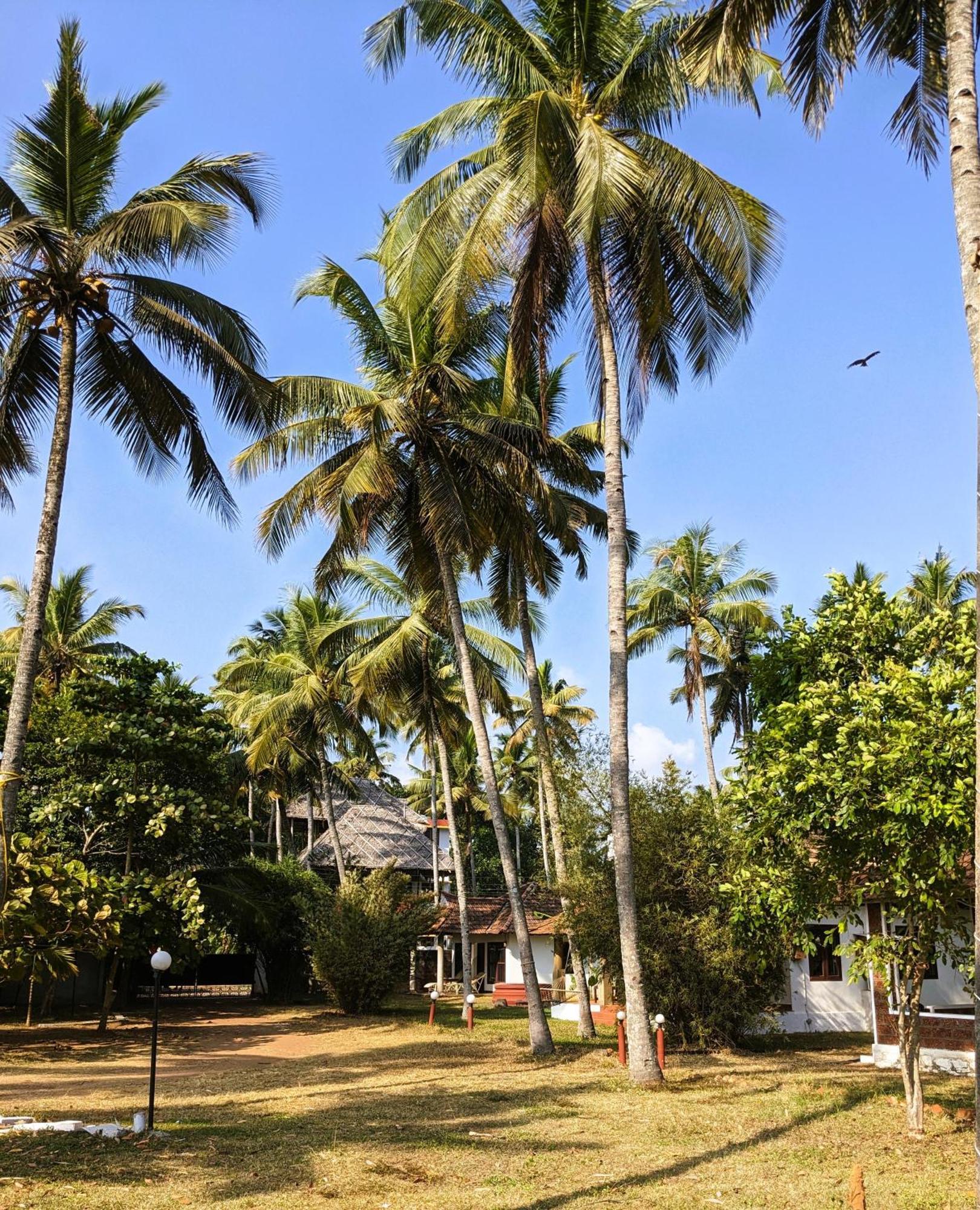 Baycliff Cottages Varkala Dış mekan fotoğraf